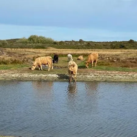 Le D'oye Seaside - Nature Reserve